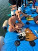 IMG-20260725-WA0001