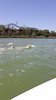 IMG-20180425-WA0038