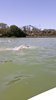 IMG-20180425-WA0031