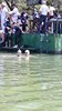 IMG-20180425-WA0059