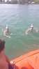 IMG-20180506-WA0012