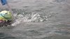 DSCF6524