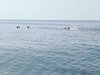 IMG-20180713-WA0033