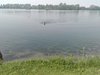 IMG-20180526-WA0006