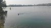 IMG-20180526-WA0007