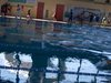 DSCN0081