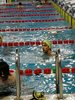 IMG-20180624-WA0236