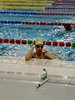 IMG-20180624-WA0233