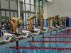 IMG-20180624-WA0226