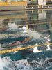 IMG-20180602-WA0033