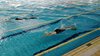 IMG-20180601-WA0008