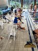 IMG-20180218-WA0019