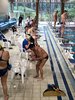 IMG-20180218-WA0018