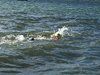IMG-20180923-WA0006