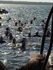 IMG-20180923-WA0005