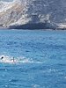 IMG-20180731-WA0060