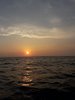 IMG-20180801-WA0021