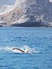 IMG-20180731-WA0059