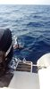 IMG-20180731-WA0028