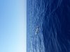 20180731_164531