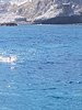 IMG-20180731-WA0063