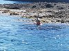 IMG-20180731-WA0068