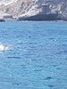 IMG-20180731-WA0064
