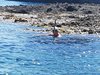 IMG-20180731-WA0103