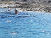 IMG-20180731-WA0069