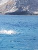 IMG-20180731-WA0065