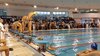 IMG-20180224-WA0243