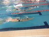 IMG-20180224-WA0011