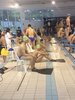 IMG-20180225-WA0248