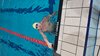 IMG-20190217-WA0118