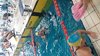 IMG-20190217-WA0070