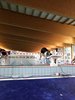 IMG-20190310-WA0012