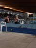 IMG-20190308-WA0045