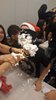 IMG-20181215-WA0111