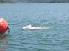 IMG-20190623-WA0168