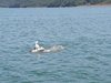 IMG-20190623-WA0124