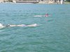 IMG-20190623-WA0142
