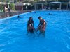 IMG-20191002-WA0014