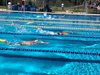IMG-20191002-WA0031