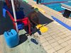 IMG-20191002-WA0047