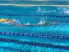 IMG-20191002-WA0052
