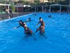 IMG-20191002-WA0013