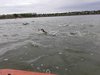 IMG-20190428-WA0058