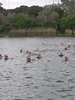 IMG-20190428-WA0027