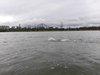IMG-20190428-WA0100