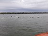 IMG-20190428-WA0083